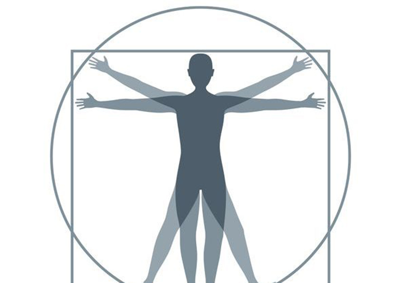 human-anatomy simple vitruvian man